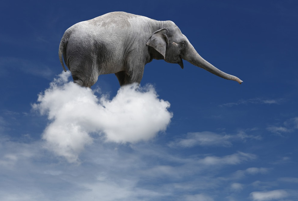 cloud_elefante