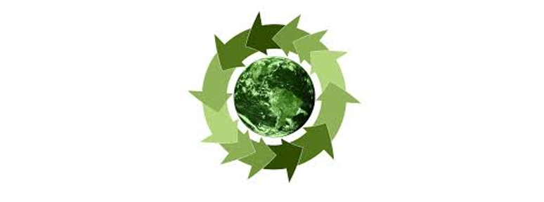 Environmental-Impact-Tracker