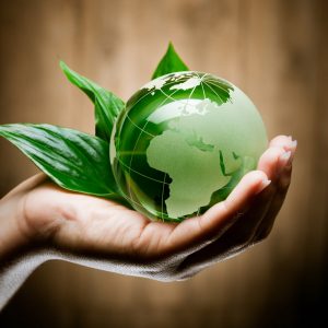 ecosostenibilità