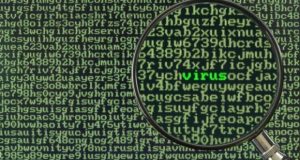 virus virus