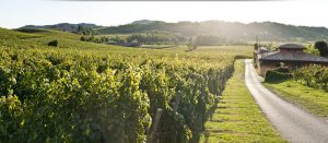 franciacorta