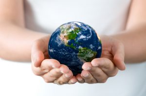 sostenibilita Investimenti e sostenibilità: il segreto delle aziende di successo