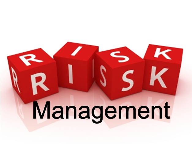 Risk-Management