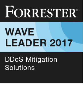 2017Q4_DDoS-Mitigation-Solutions_137209