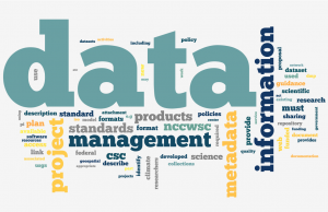 Data-Management