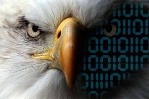 cyber_eagle