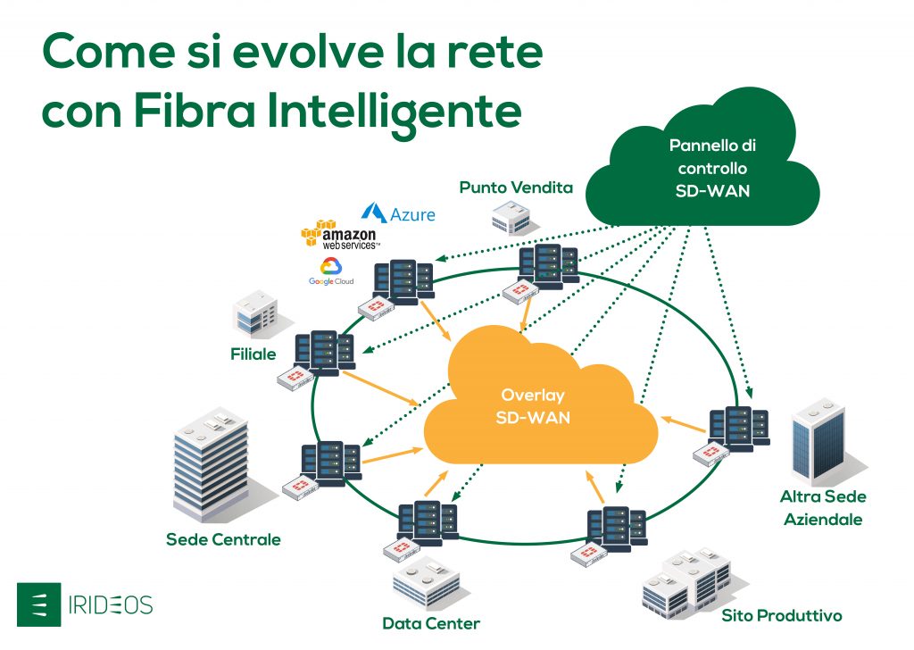 Infografica Irideos