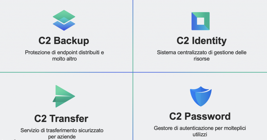 Synology C2