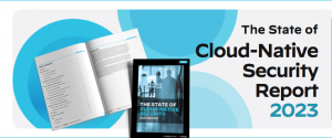 State of Cloud-Native Security