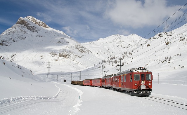 Ferrovie Federali Svizzere