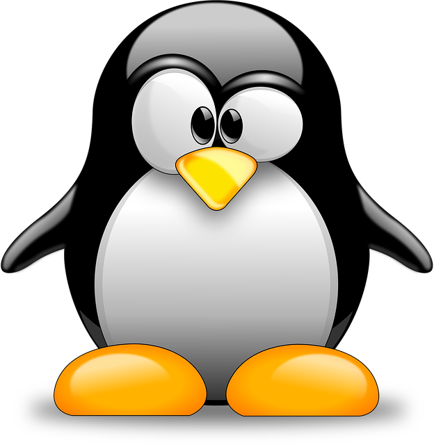 Linux