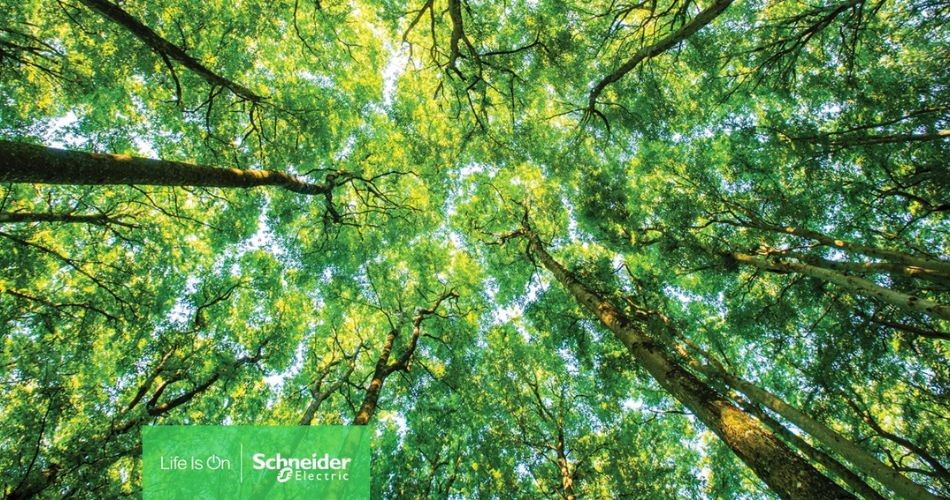 Schneider-Electric